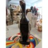 brosse canard 