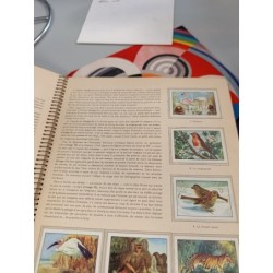 cahier merveilles du monde