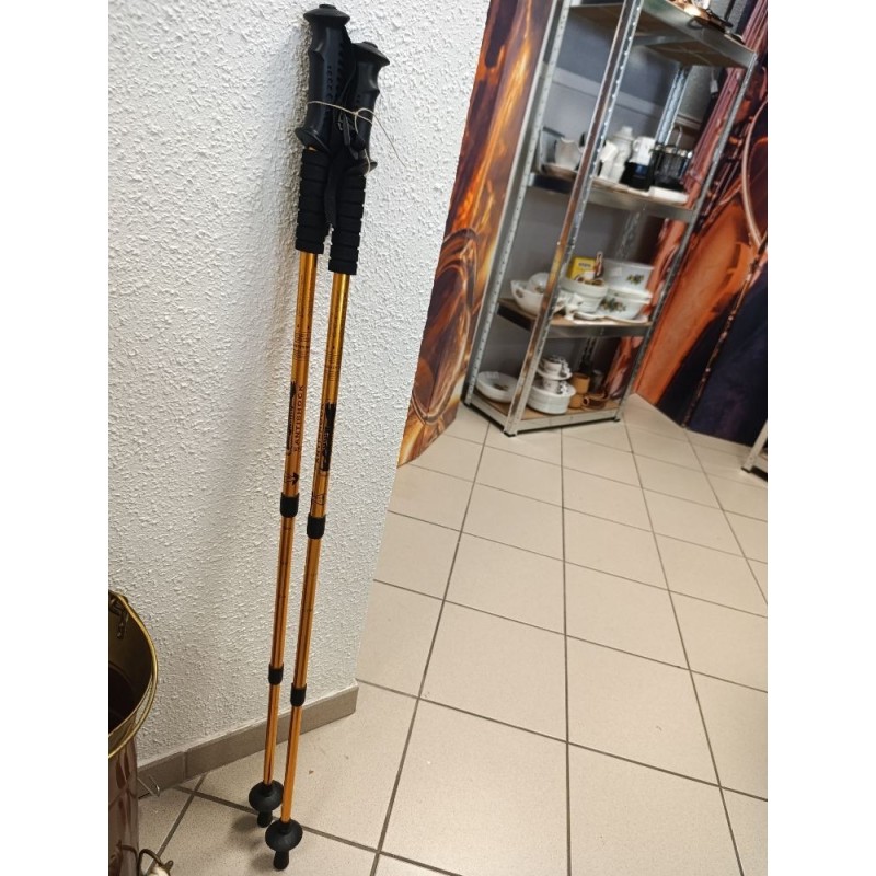 batons de marches antishock avec boussoles