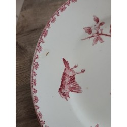 assiette sarreguemines favori rouge