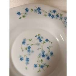 assiette creuse soupe arcopal véronica