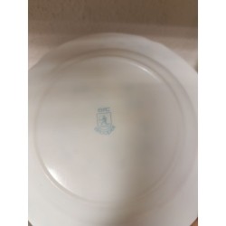 assiette creuse soupe arcopal véronica