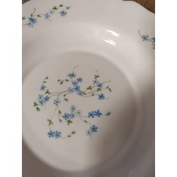 grand plat rond arcopal véronica