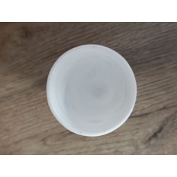 cocotier arcopal véronica