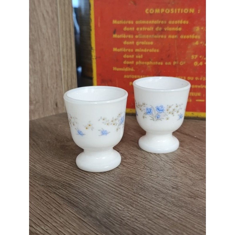 lot de 2 cocotiers arcopal fleurs bleues