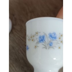 lot de 2 cocotiers arcopal fleurs bleues